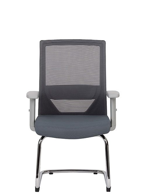 Vision Gray Visita